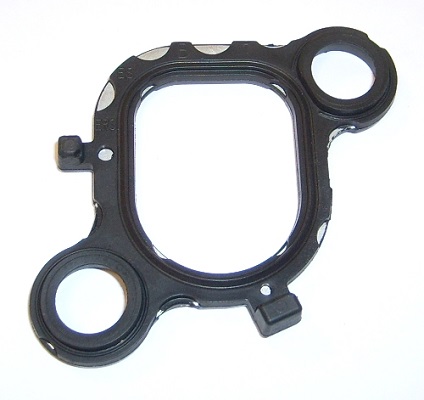 016981