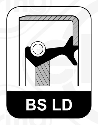 BS LD
