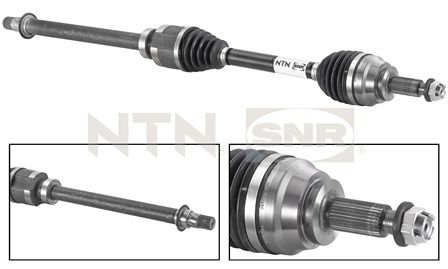 dk55031-snr_1