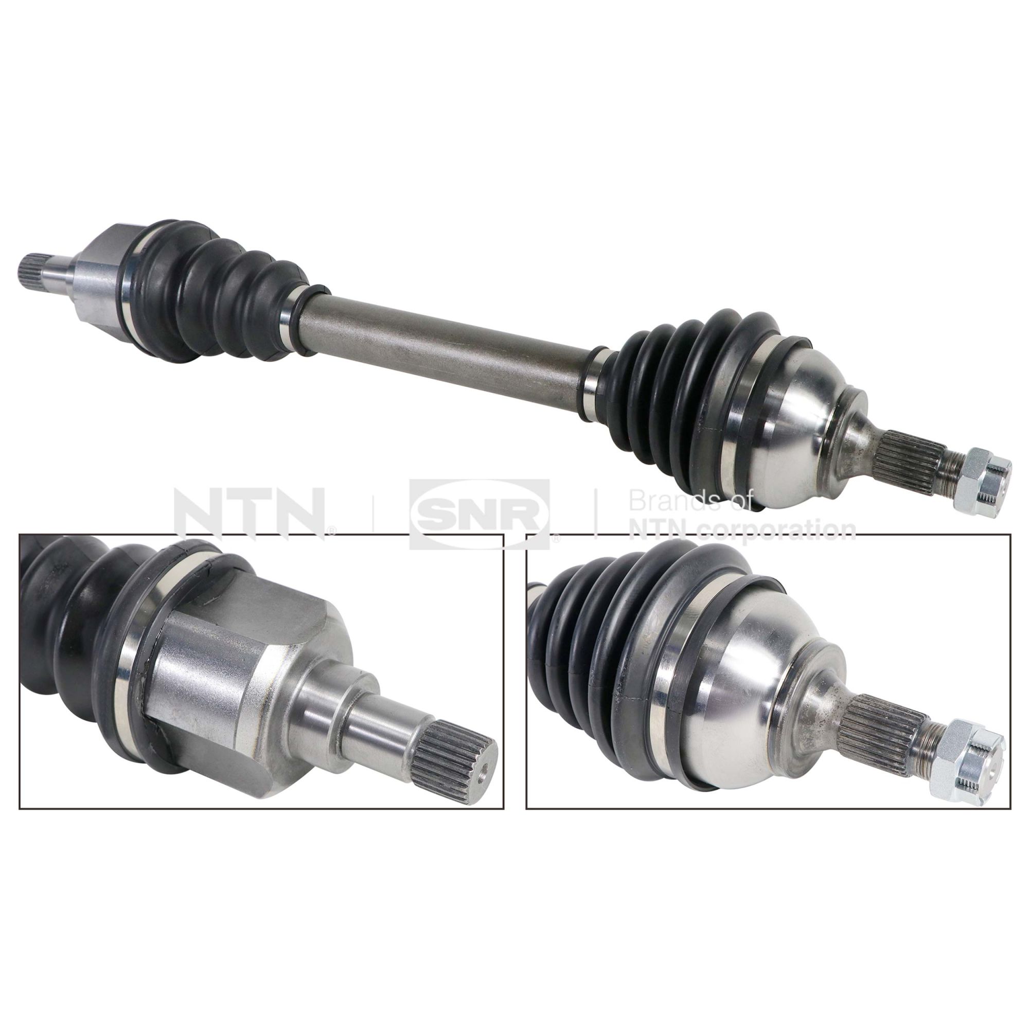 dk66031-snr_1