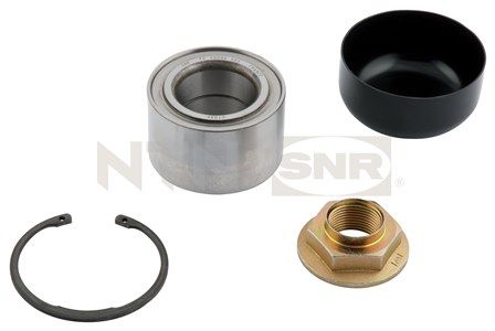 r15565-snr_1