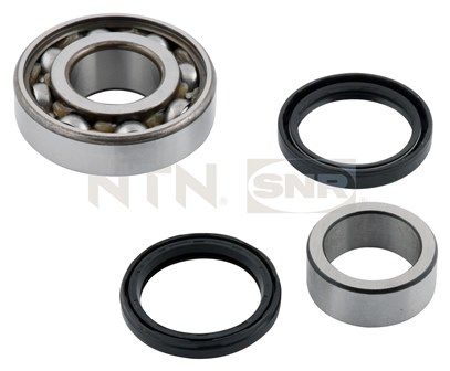 r17713-snr_1