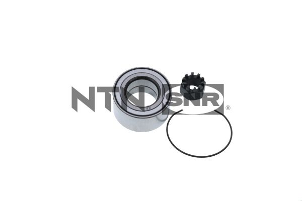 r18484-snr_1