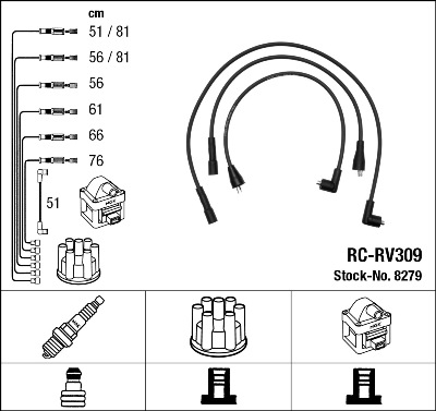 RC-RV309