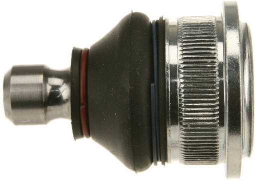 0161jbj819