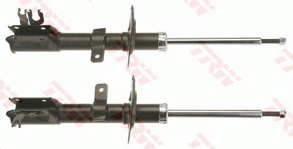 0161jgm5967t