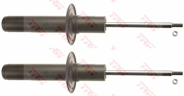 0161jgs1066t