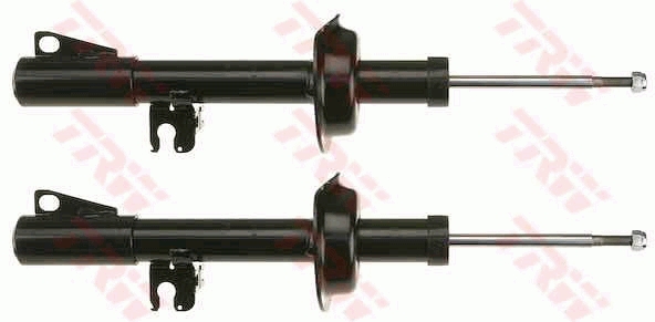 0161jgs169t