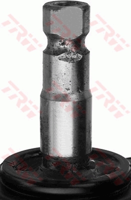 0161jrp764_1
