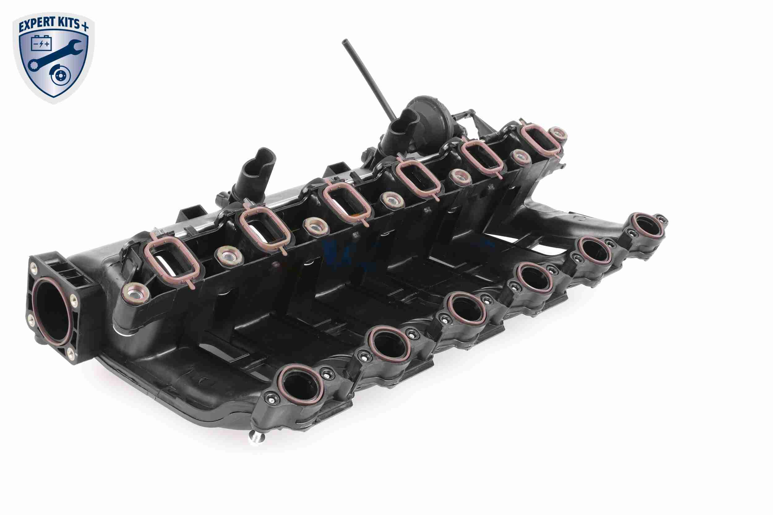 V20-3002_67