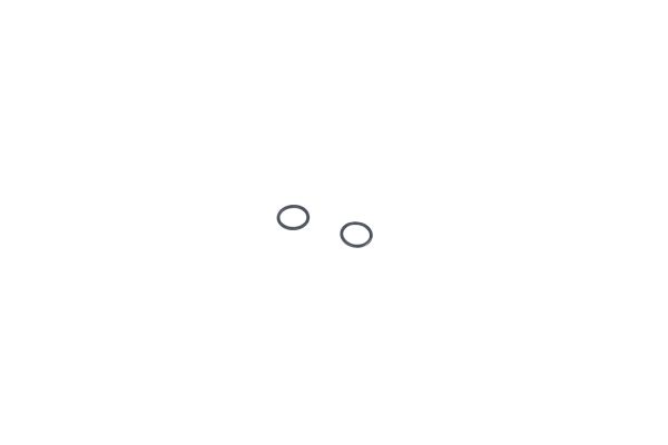 519504_1500X1000_WM_EF
