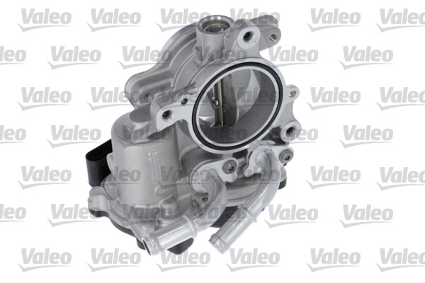 AIR INTAKE THROTTLES_700468_01