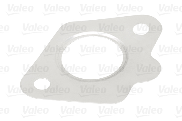 EGR_VALVE_700413_10