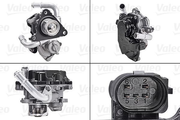 EGR_VALVE_700454_01