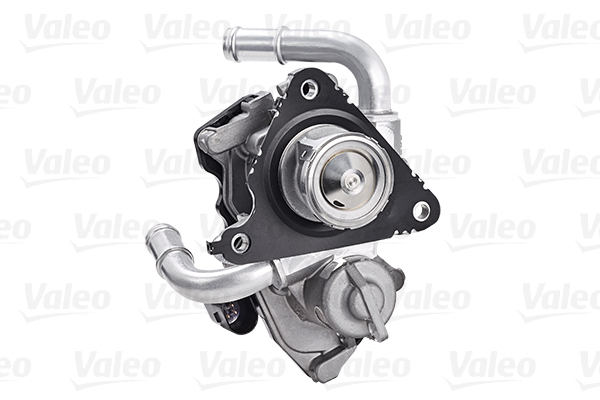 EGR_VALVE_700454_02
