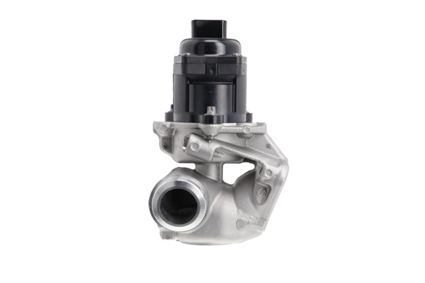 VS-IGN_EGR VALVE_700474_001
