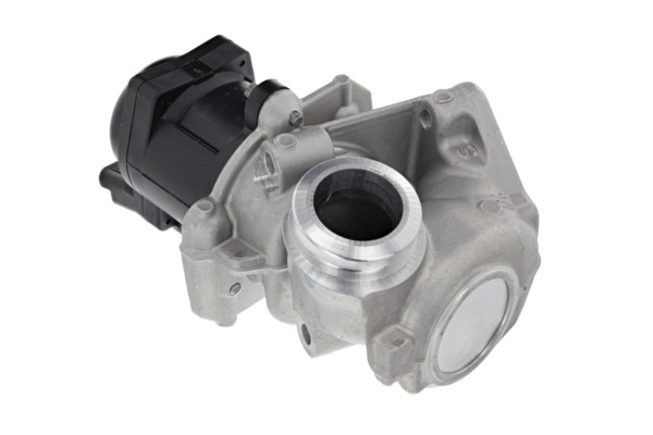 VS-IGN_EGR VALVE_700474_003