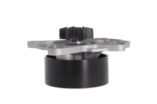 WATER PUMP_529521_03