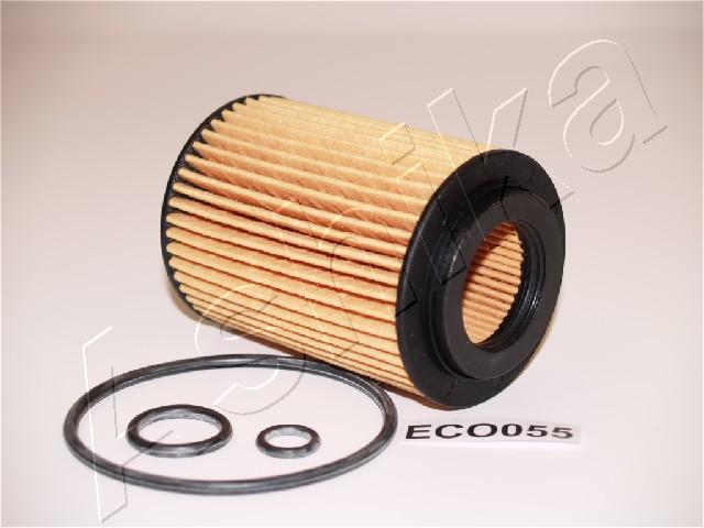 10-ECO055_1