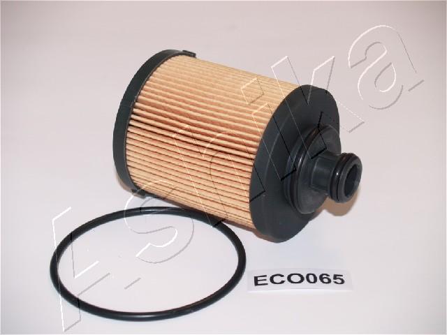 10-ECO065_1