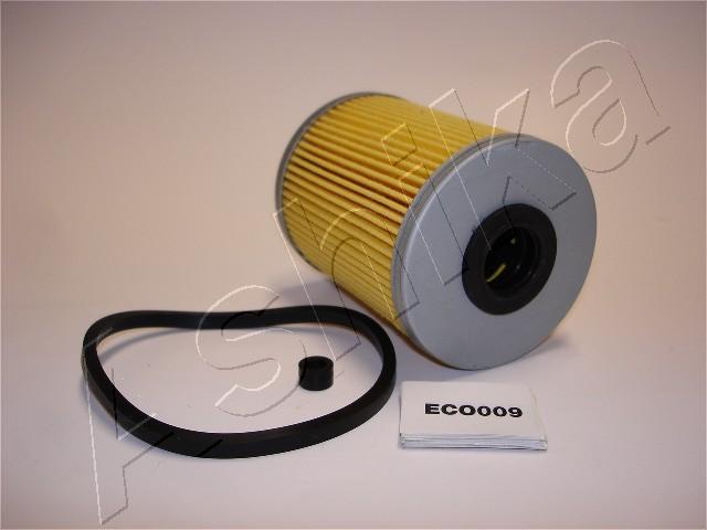 30-ECO009_1