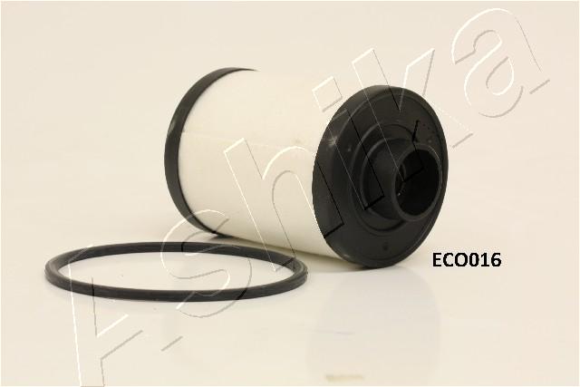 30-ECO016_1