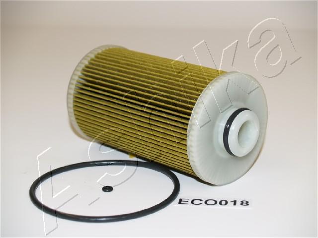 30-ECO018_1