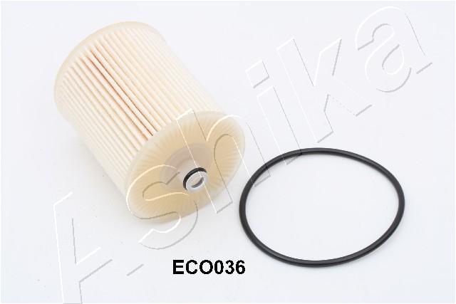 30-ECO036_1