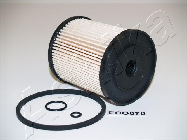 30-ECO076_1