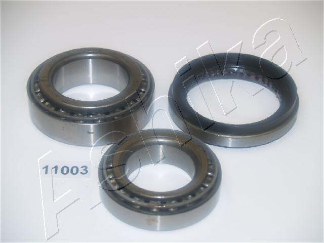 44-11003_1