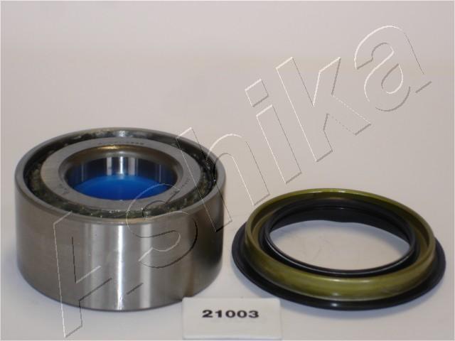 44-21003_1