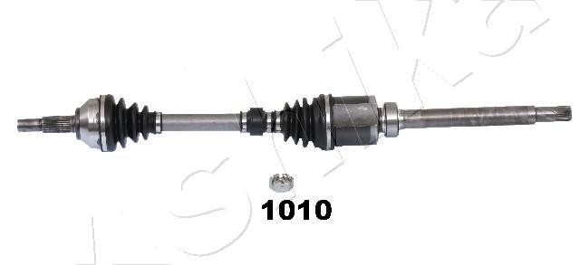 62-01-1010_1