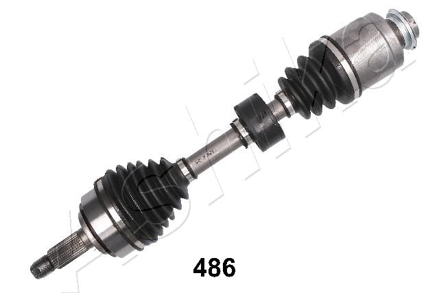 62-04-486_1