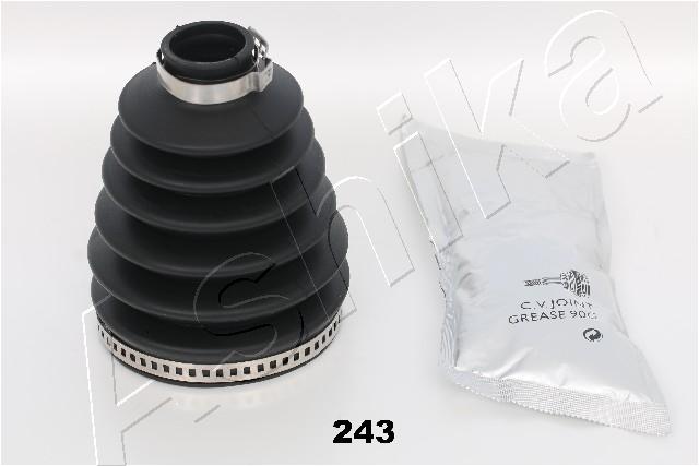 63-02-243_1