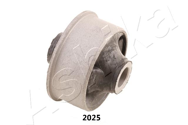 GOM-2025_1
