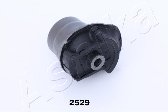 GOM-2529_2