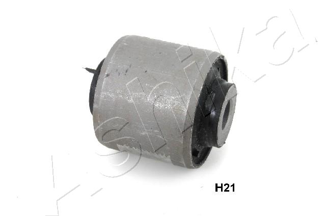 GOM-H21_1