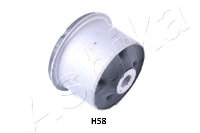 GOM-H58_1
