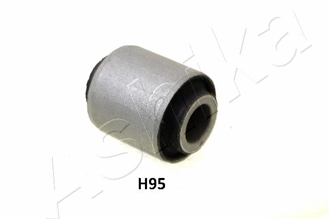 GOM-H95_1
