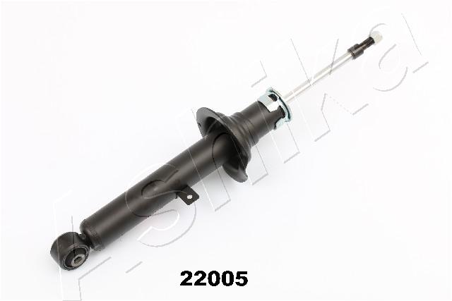 MA-22005_1