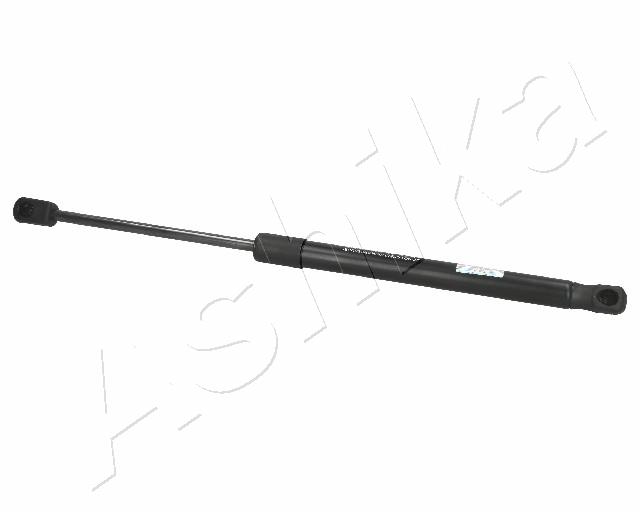 ZSA01031_1