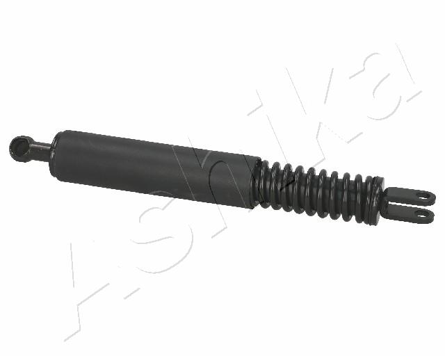 ZSA01037_1