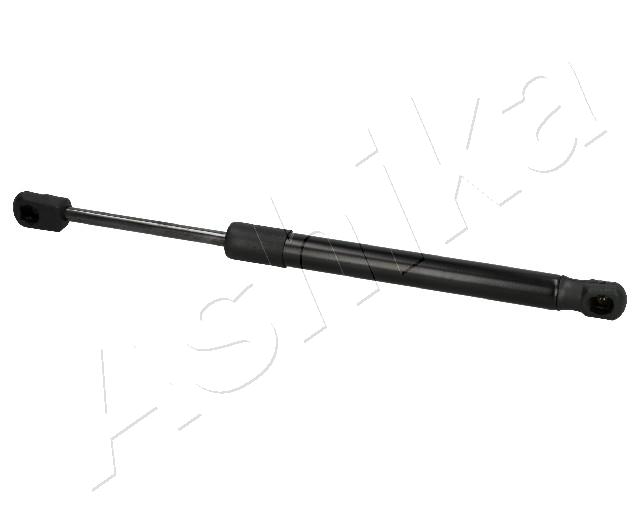 ZSA01054_1