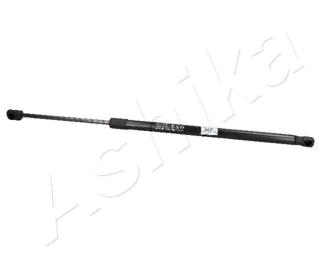 ZSA02064_1
