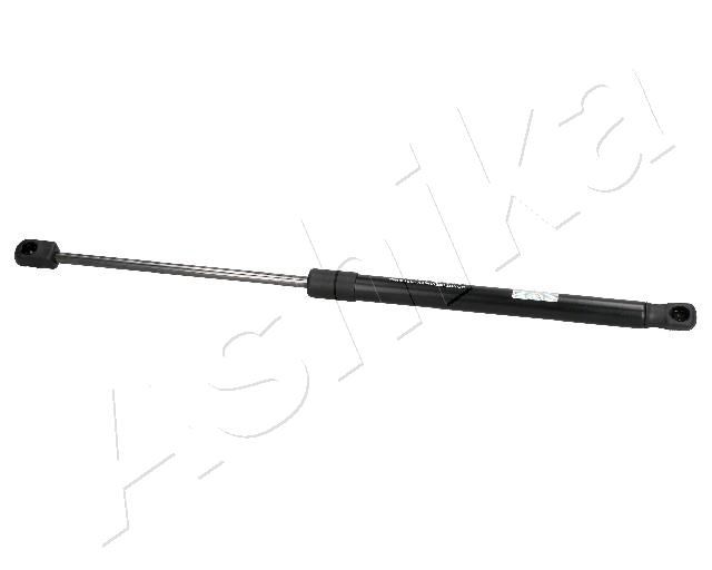 ZSA02073_1