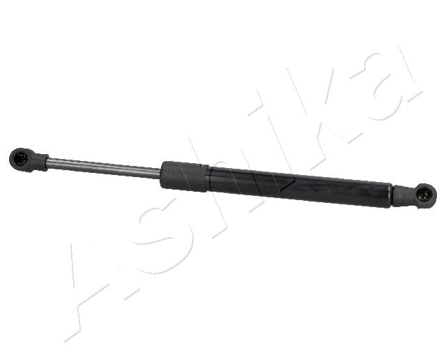 ZSA02074_1