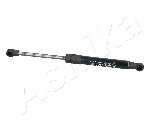 ZSA03070_1