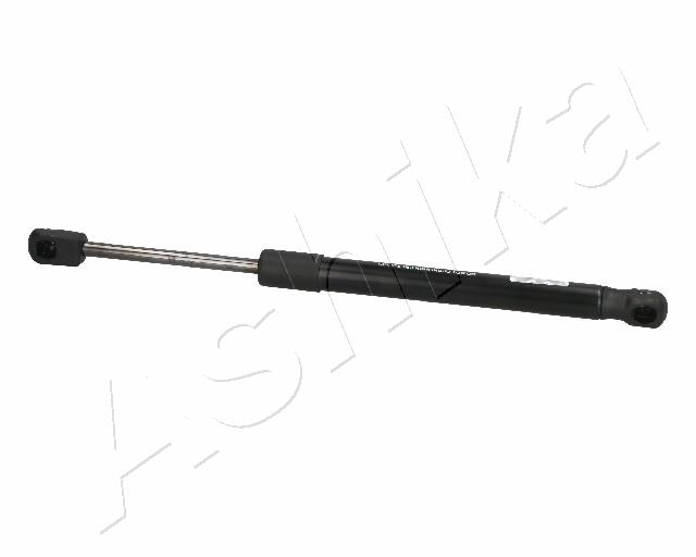 ZSA06069_1