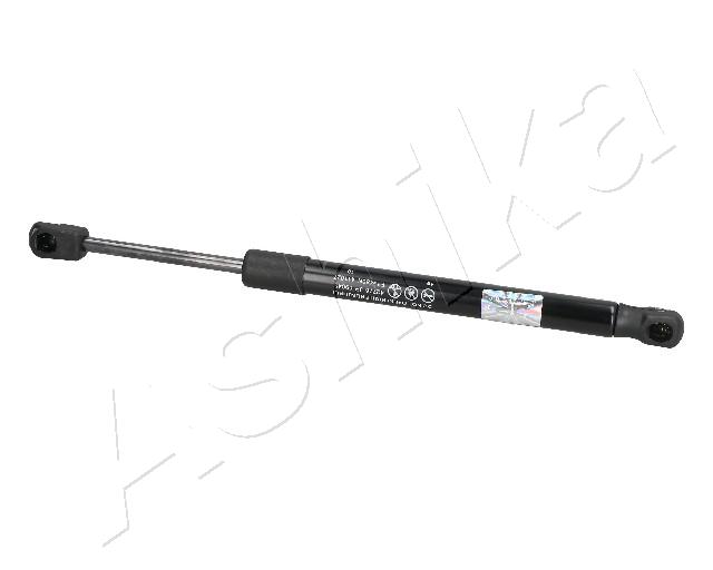 ZSA09045_1