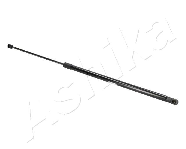 ZSA09195_1